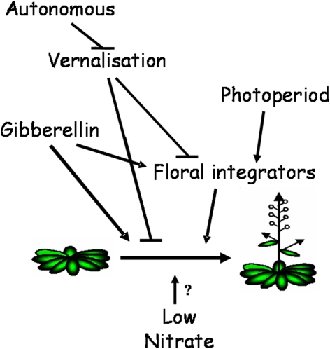 Fig. 9