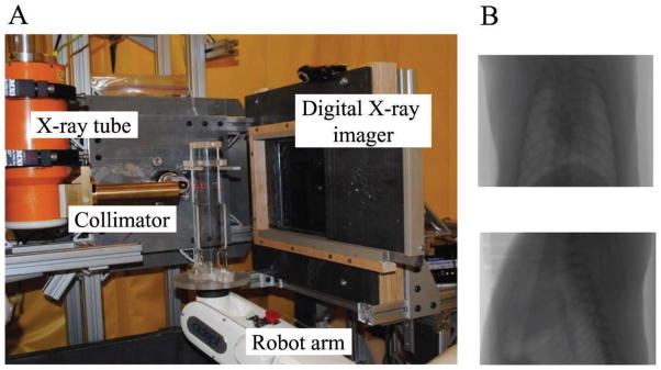 FIG. 3