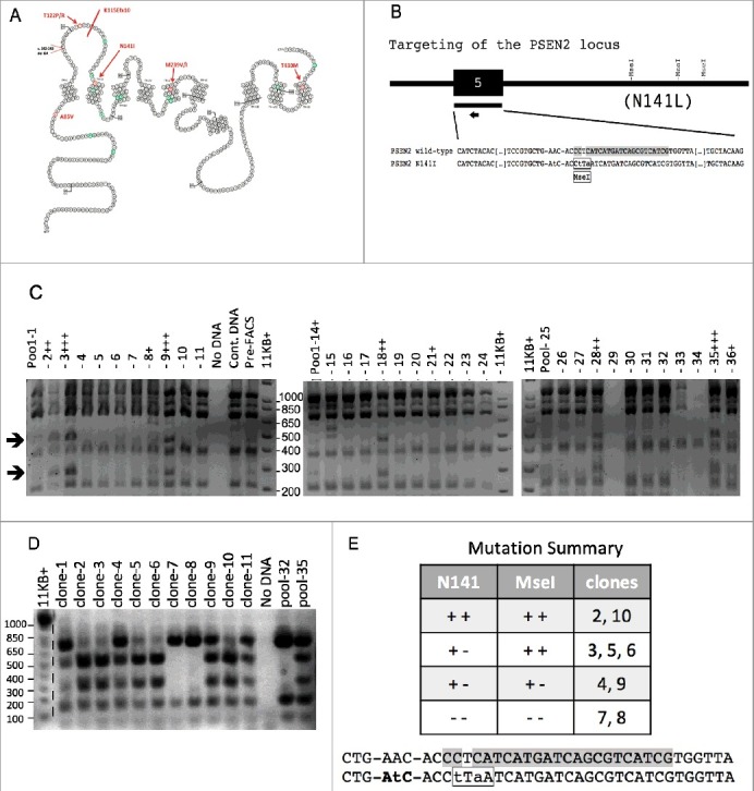 Figure 2.