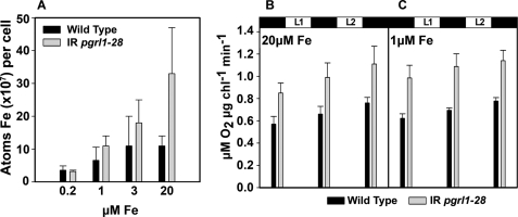 FIGURE 5.