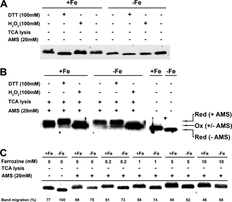 FIGURE 7.