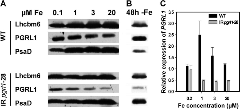 FIGURE 1.