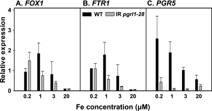 FIGURE 6.