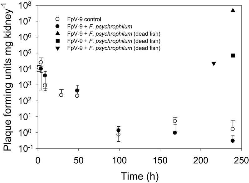 Fig 5