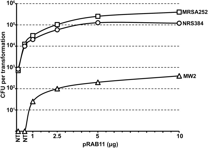 FIG 4 