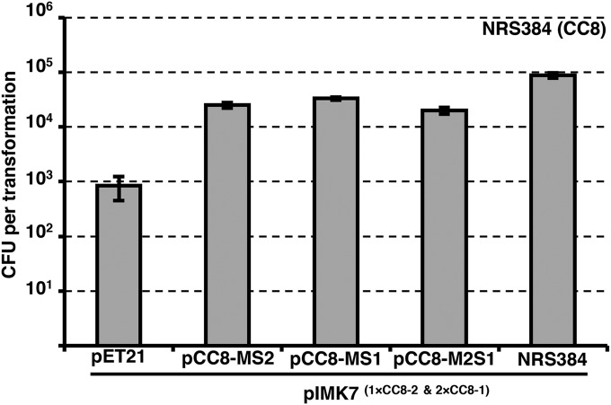 FIG 2 