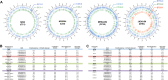 FIG 1