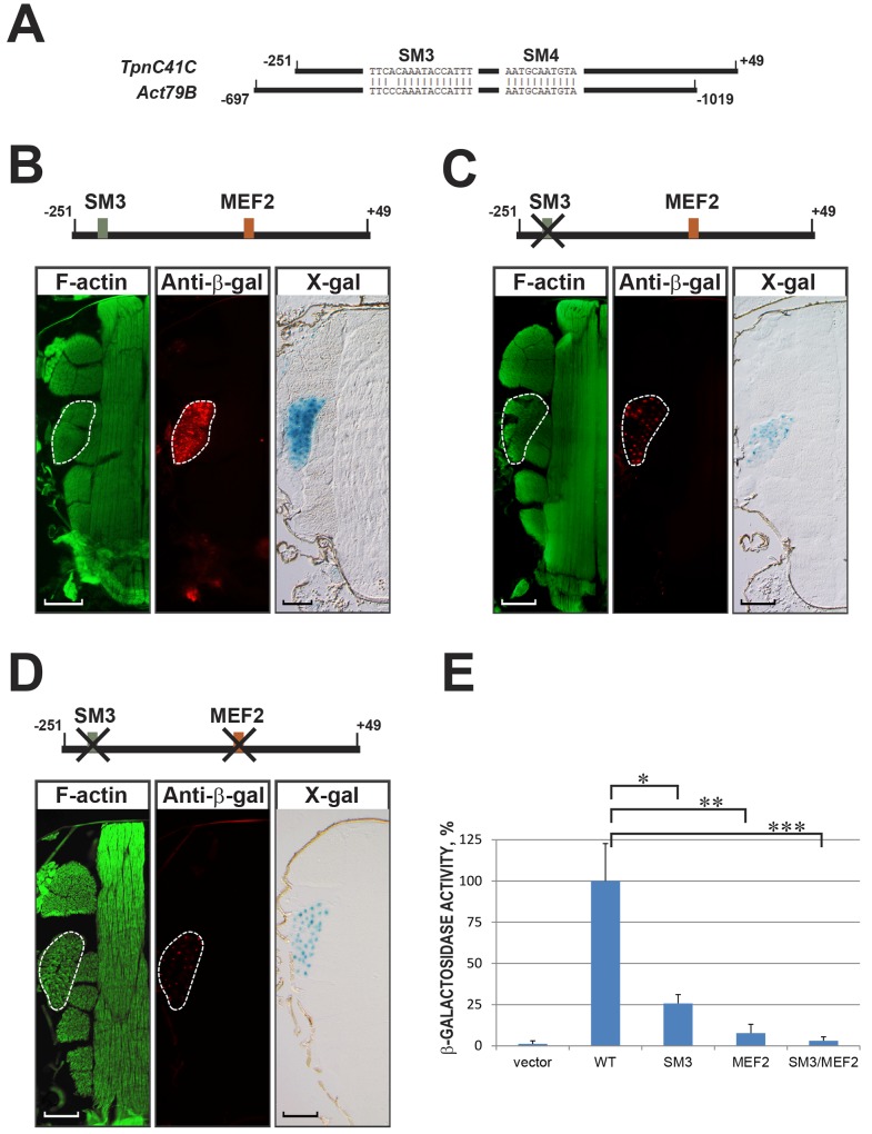 Fig 4