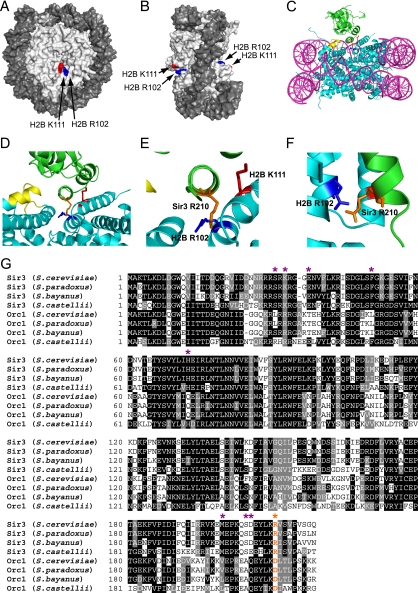 FIG. 8.