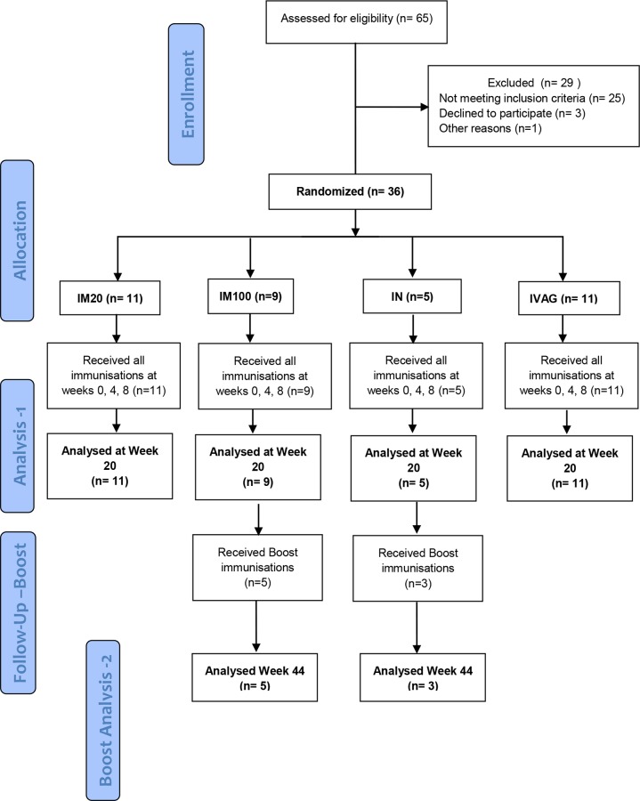 Fig 1