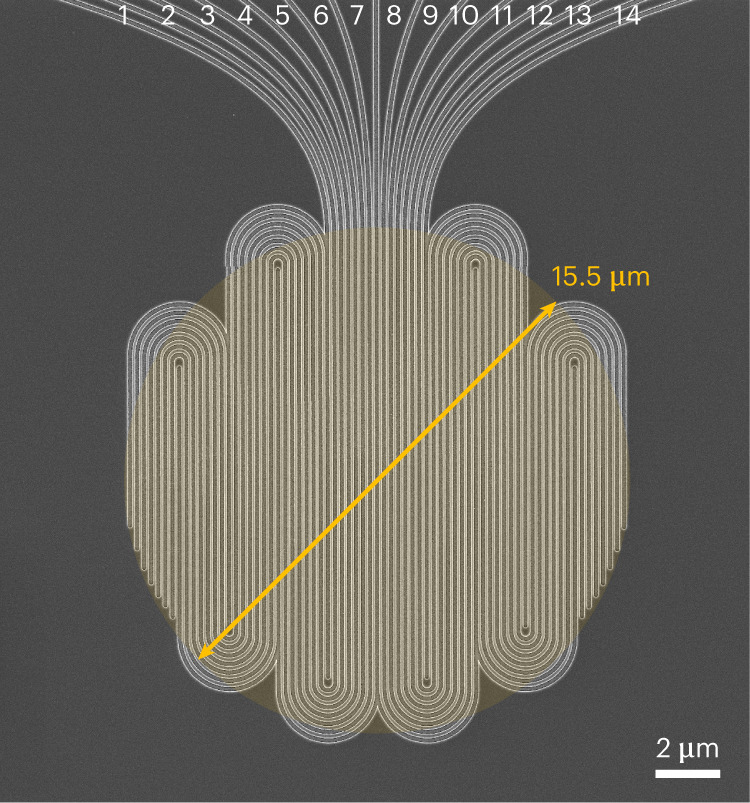 Fig. 1