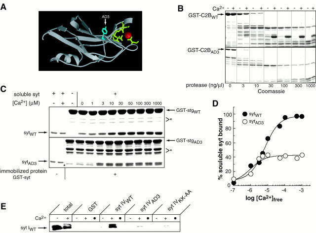 Fig. 8.