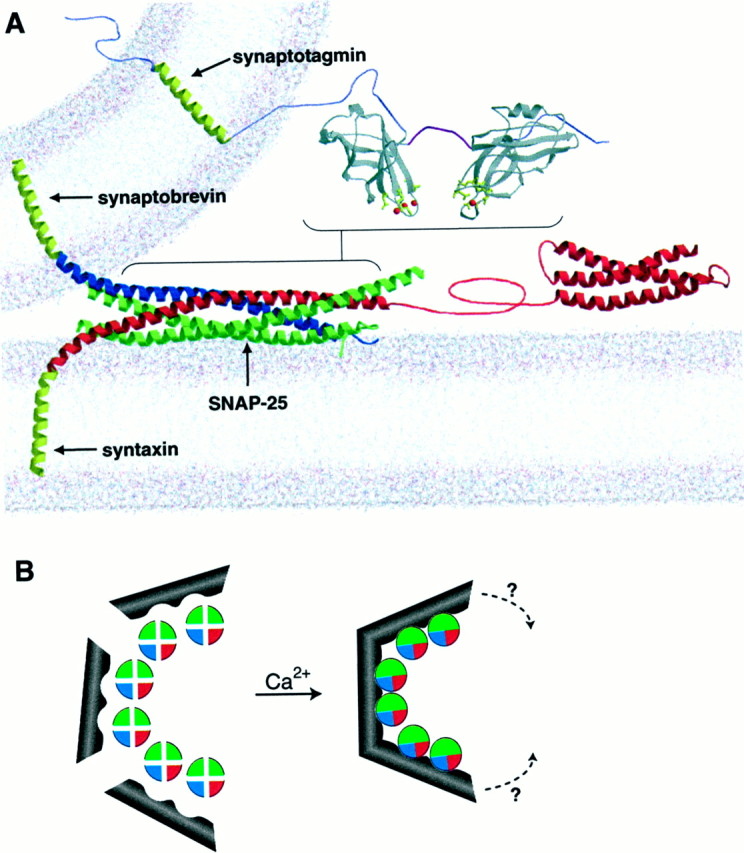 Fig. 9.