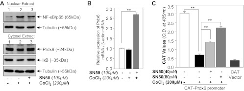 Fig. 12.