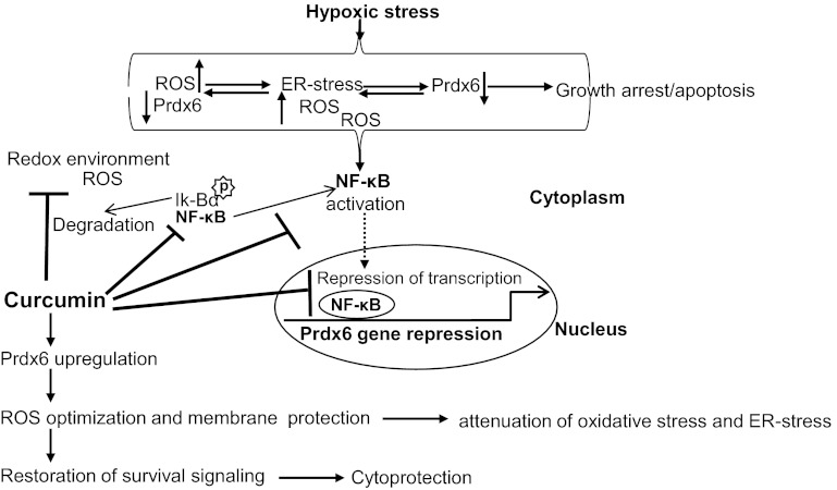 Fig. 13.