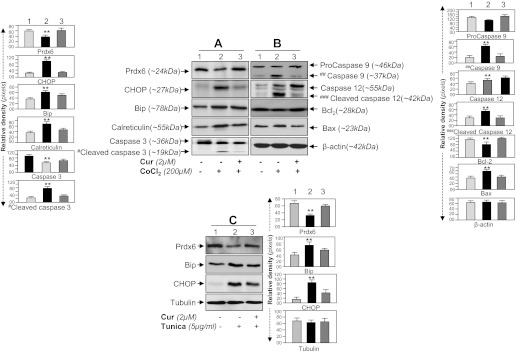 Fig. 10.