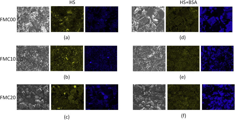 Fig. 10