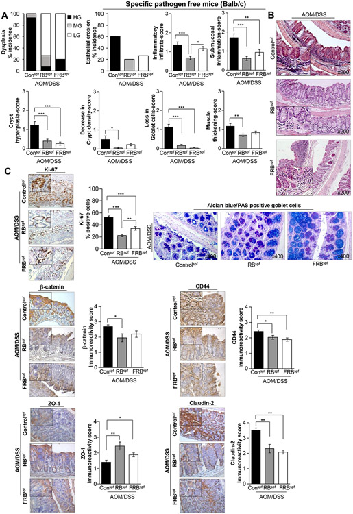 Fig 1.