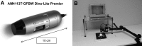 <b>FIG. 2.</b>