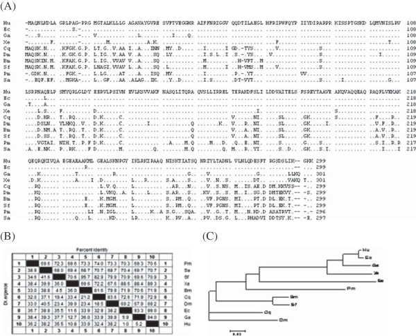 Sf-PHB2, A new transcription factor, Drives WSSV Ie1 Gene Expression ...