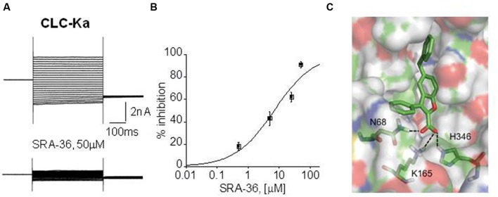 FIGURE 3