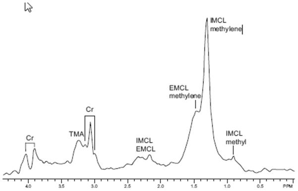 Figure 23