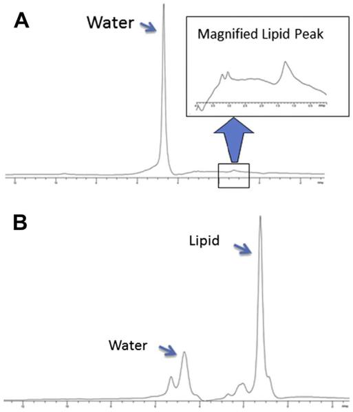 Figure 24