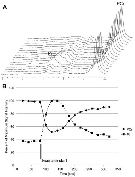 Figure 25