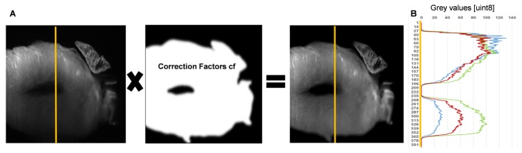 Fig. 3