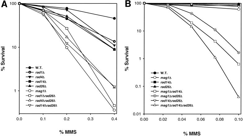 FIG. 1.