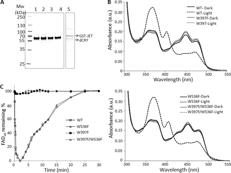 FIGURE 4.