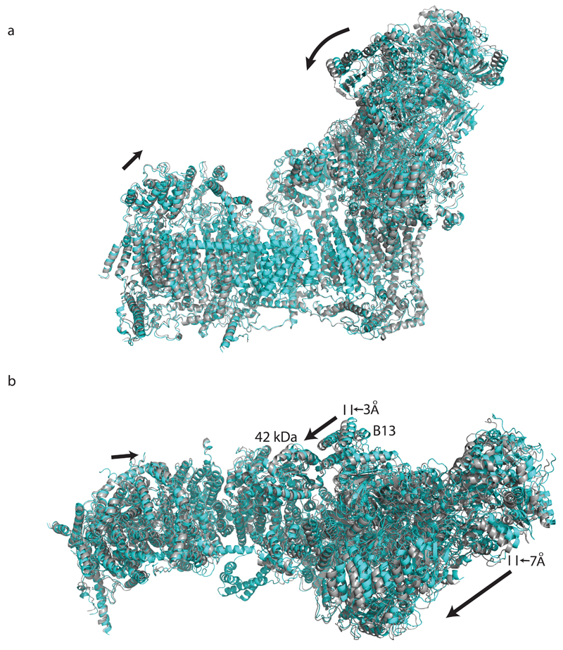 Extended Data Figure 8