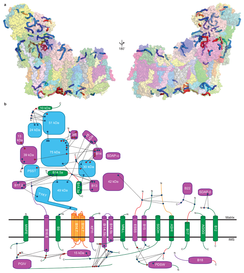 Extended Data Figure 5