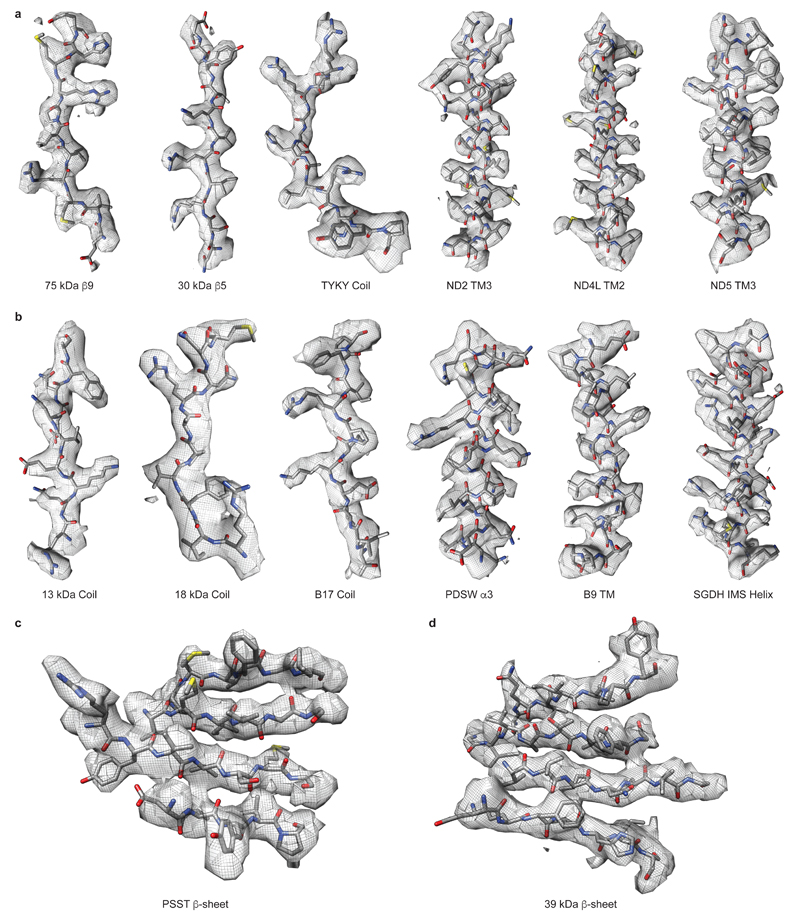 Extended Data Figure 4