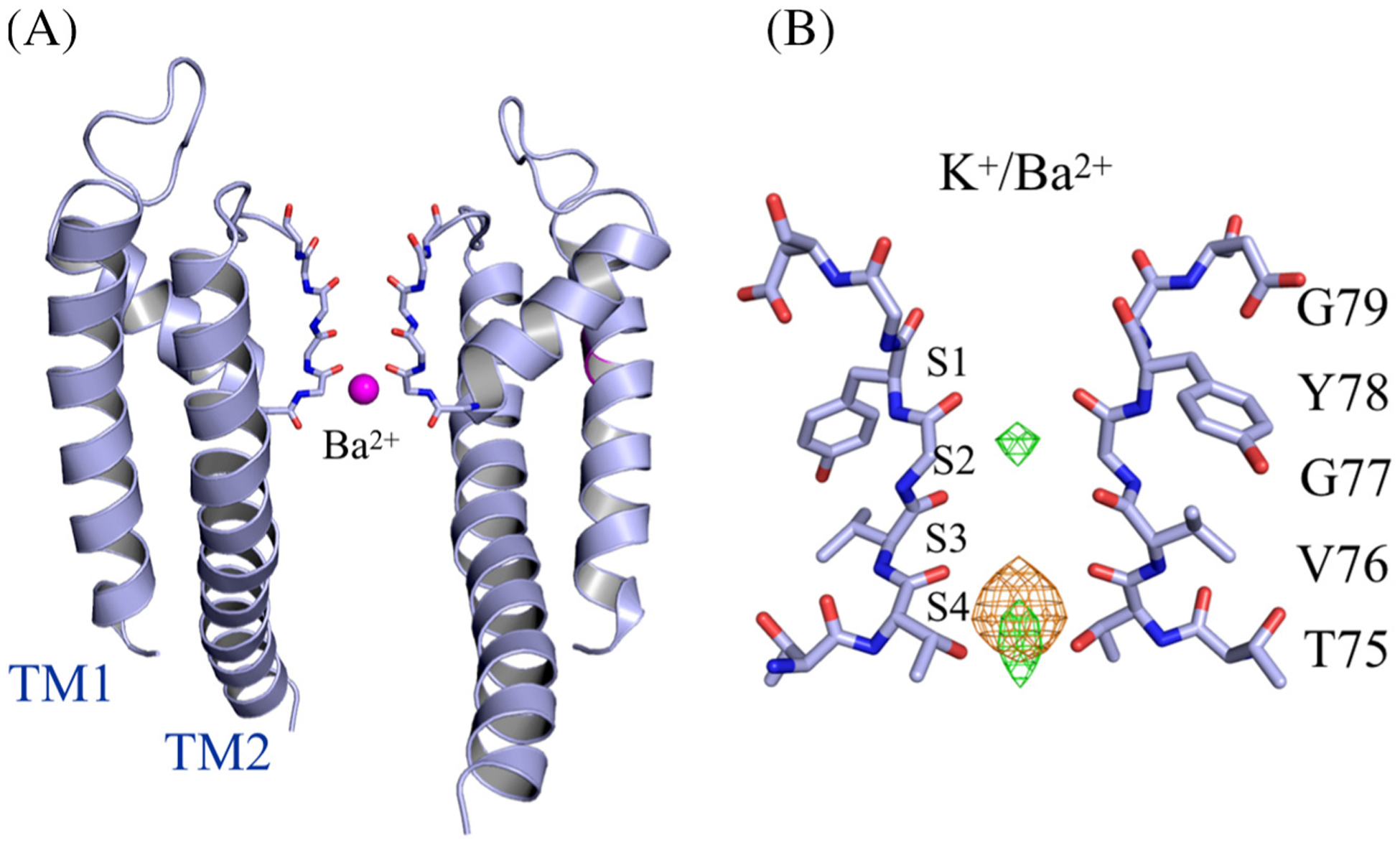 Figure 2.