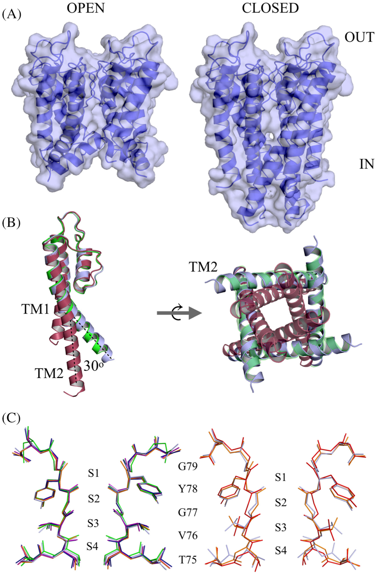 Figure 1.