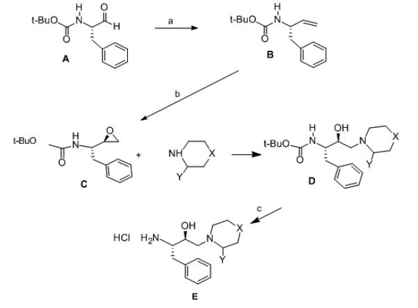 Scheme 1