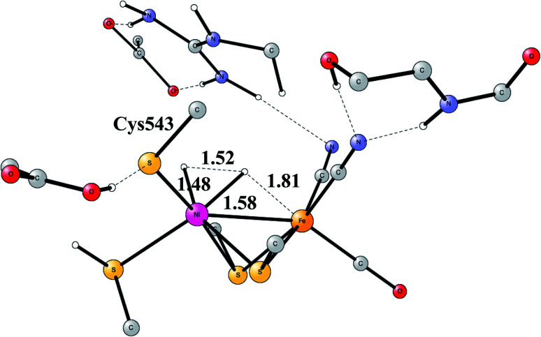 Fig. 12