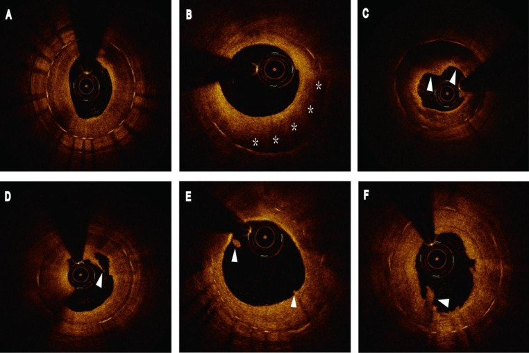 Fig. 5