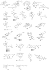 Figure 22