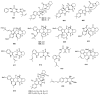 Figure 24