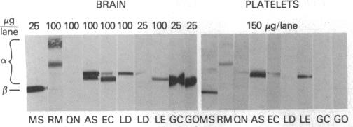 graphic file with name pnas00287-0160-a.jpg