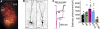 Fig. 3.