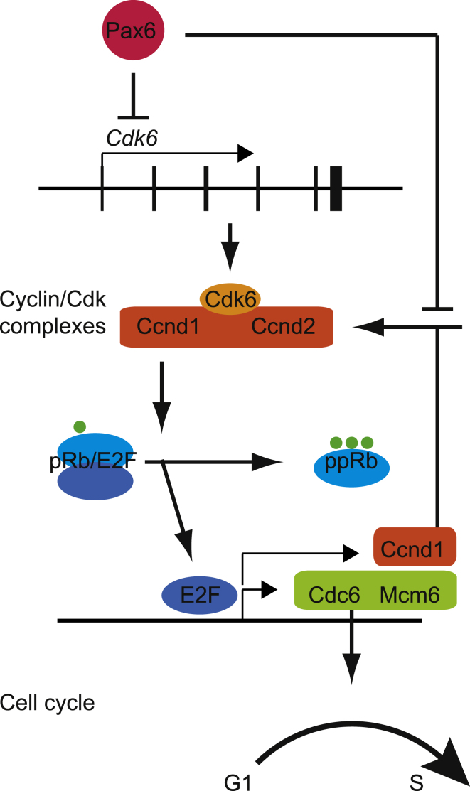 Figure 7