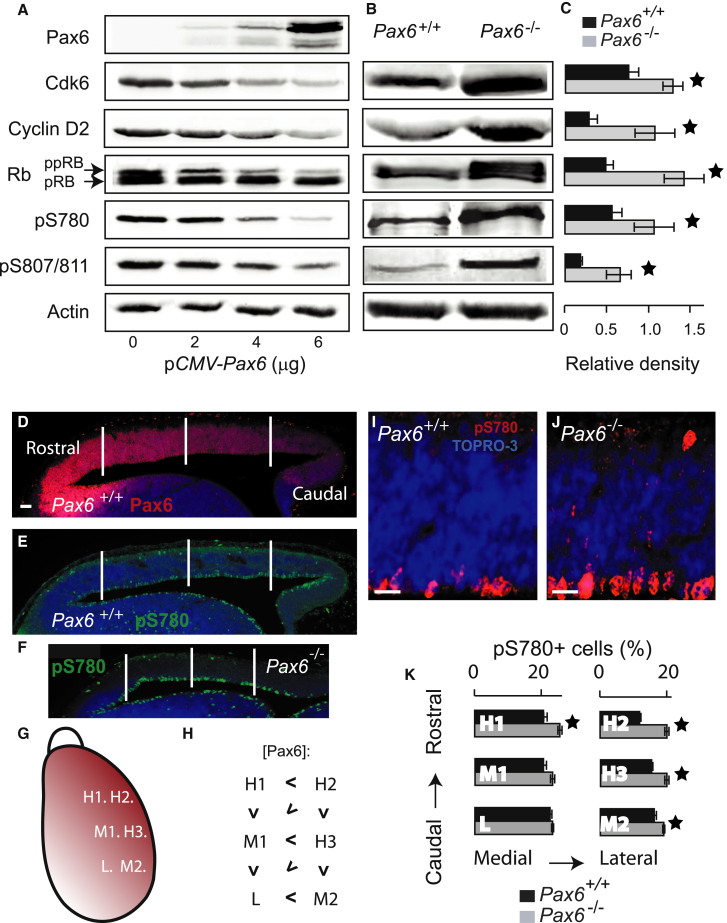 Figure 6