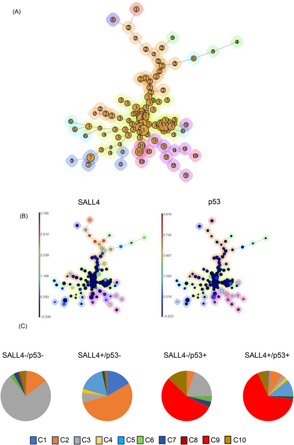 FIGURE 3