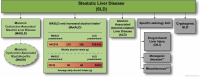 SLD nomenclature. Steatotic liver disease is an umbrella term that
encompasses various disorders associated with excess fat accumulation in the
liver, including MASLD and MASLD with increased alcohol intake (MetALD).
Although MASLD can coexist with other causes of SLD such as viral hepatitis,
this article focuses on MASLD in the absence of other steatogenic
conditions. (Reprinted under a CC BY-NC-ND license from reference
3.)
