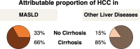 In about one-third of HCC cases attributed to MASLD, patients do not
have cirrhosis. Charts show the attributable proportion of HCC in patients
with MASLD (left) versus other liver diseases (eg, viral hepatitis,
alcohol-associated liver disease) (right) (71,72).