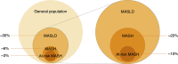 Prevalence of MASLD, MASH, and at-risk MASH. Diagram shows the
prevalence of the MASLD spectrum in the general population (left) and in
patients with MASLD (right).