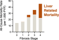 Survival is worse with development of hepatic fibrosis. Graph
demonstrates all-cause (total) and liver-related (brown) mortality rates by
hepatic fibrosis stage (7). As fibrosis stage increases, both liver and
nonliver-related mortality rates increase. Note that nonliver-related
mortality exceeds liver-related mortality at every stage until stage 4
(cirrhosis), when nonliver and liver-related mortality rates are about the
same. PYF = patient years of follow-up.